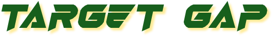 targetgap com